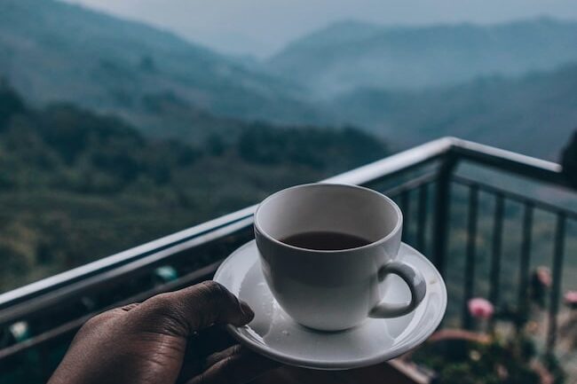 Eine Tasse Bio Tee trinken im Teegarten Darjeeling in Indien